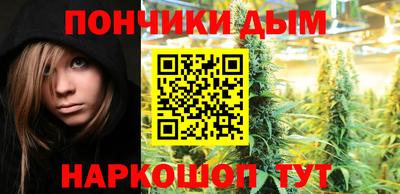 СК Новозыбков