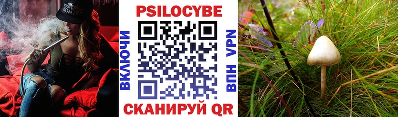 Галлюциногенные грибы GOLDEN TEACHER  OMG рабочий сайт  Благовещенск 